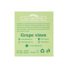 Grape-vines-2