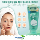 shisiedo senka acne care cleanser